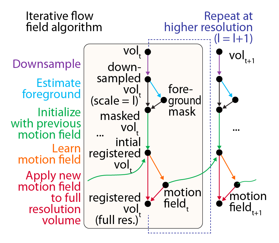 ExM Model